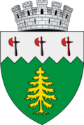 ROU SV Campulung Moldovenesc CoA